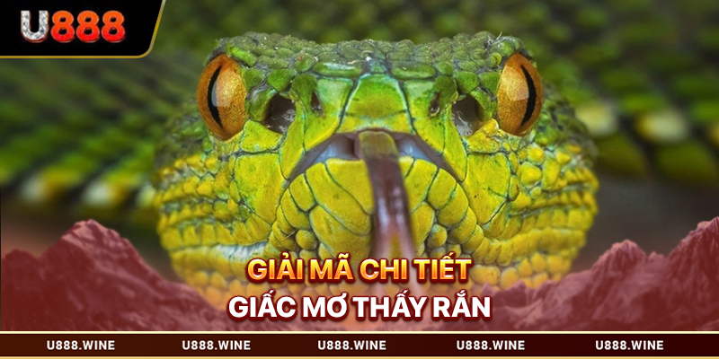 Giải mã chi tiết giấc mơ thấy rắn