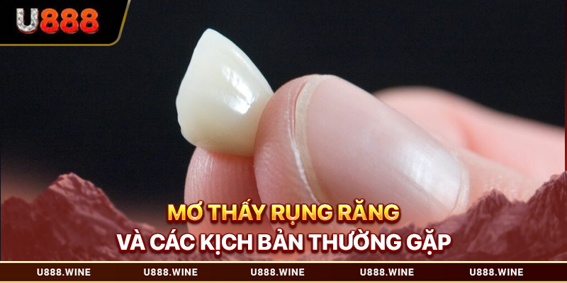 Mơ thấy rụng răng và các kịch bản thường gặp 